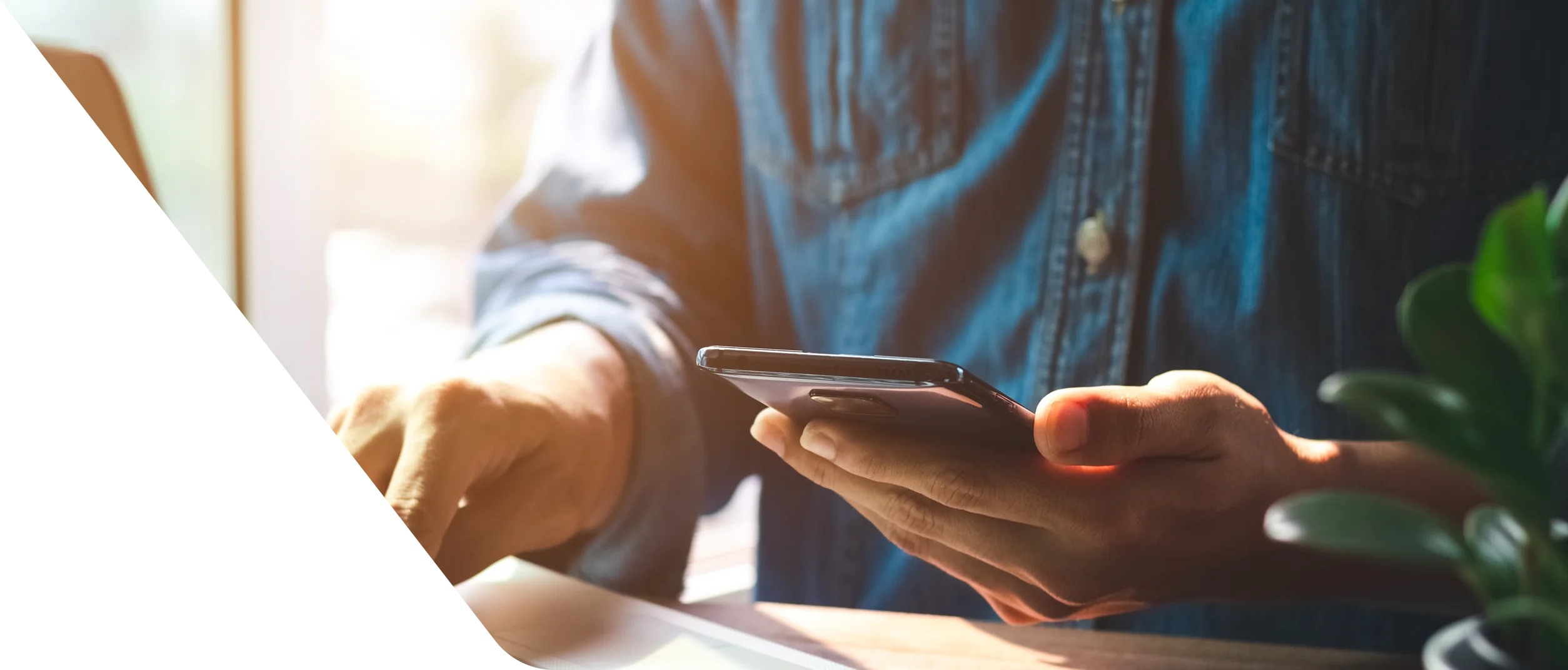 Connect with AWI